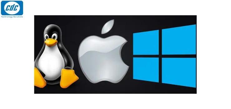 Cập nhật hệ thống thường xuyên để tối ưu giao diện chữ