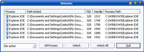 Cửa sổ chứa danh sách file bị khóa của Unlocker