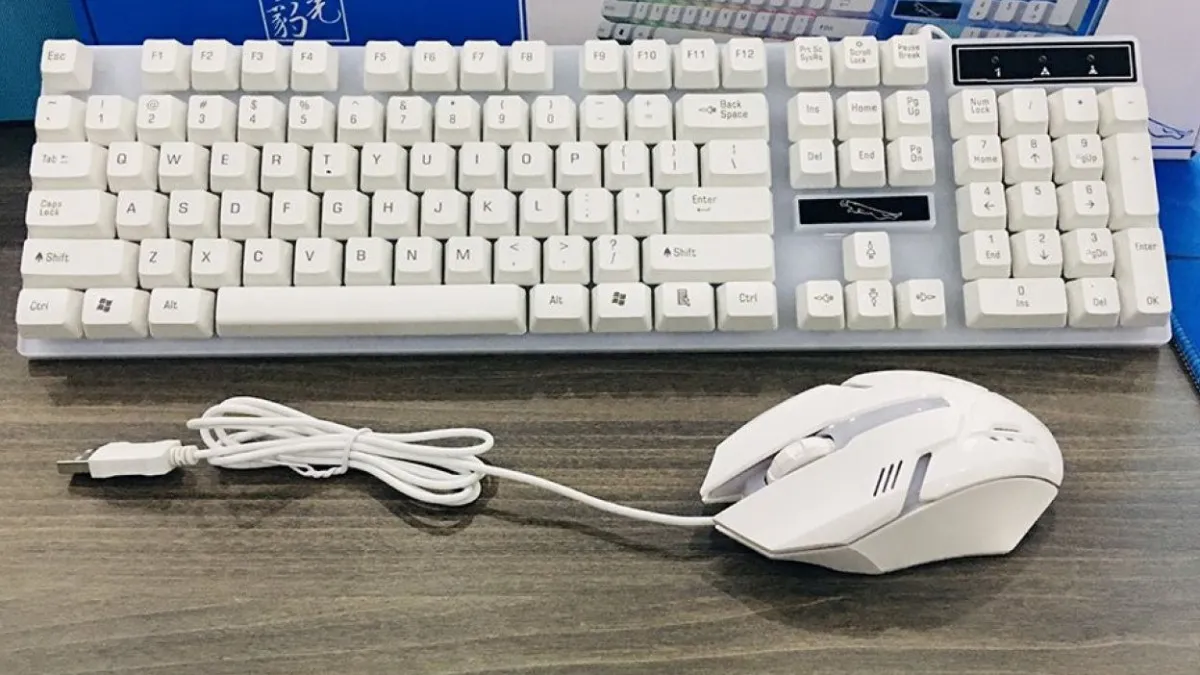 Bảng so sánh giúp phân biệt rõ chức năng của thiết bị vào và thiết bị ra của máy tính