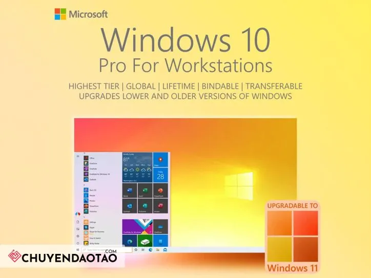 Các loại mã khóa phổ biến khi tìm kiếm key win 10 pro bản quyền