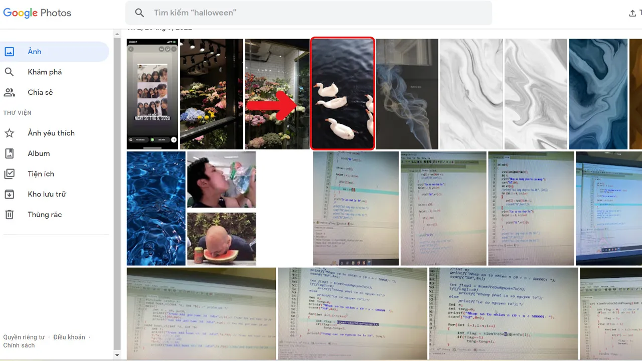 Tải ảnh từ Google Photos về máy tính
