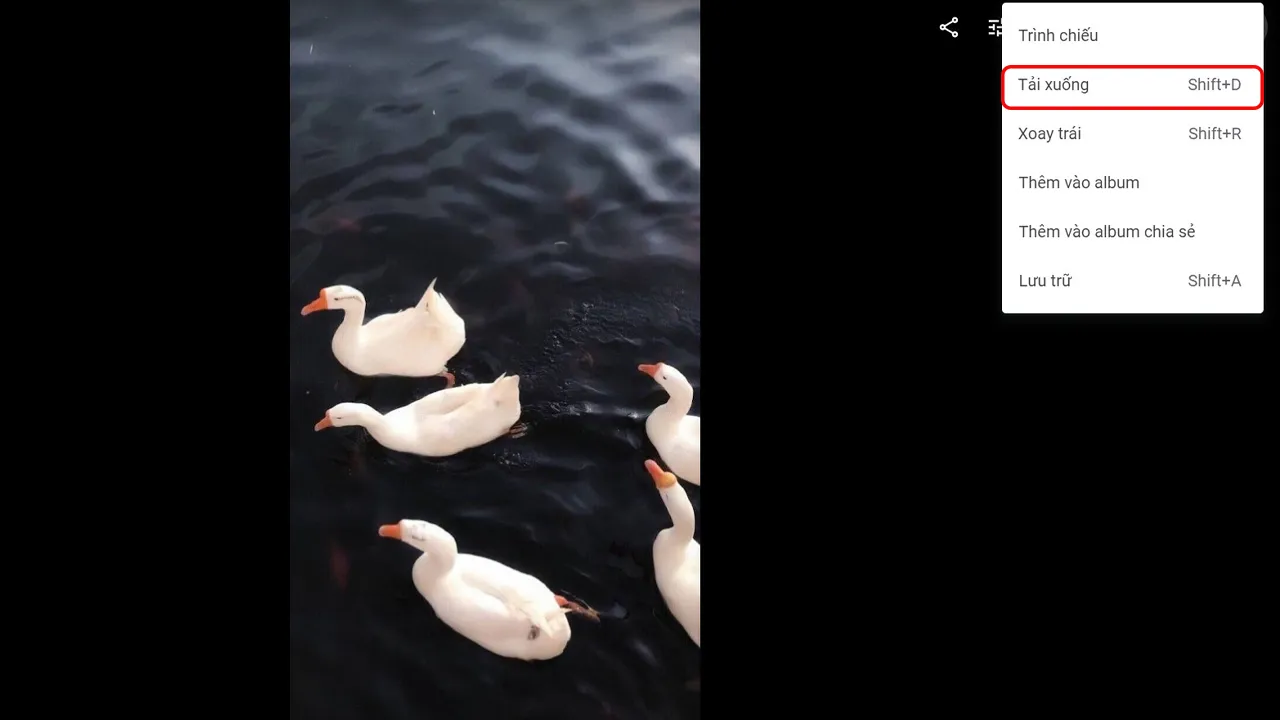 Download ảnh về máy tính