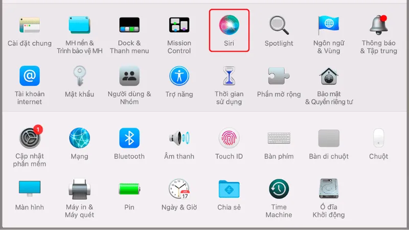 Chọn biểu tượng Siri để thiết lập các tùy chọn tương tác