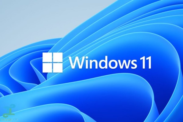 Cài đặt Windows sai lệch dẫn đến lỗi double click chuột