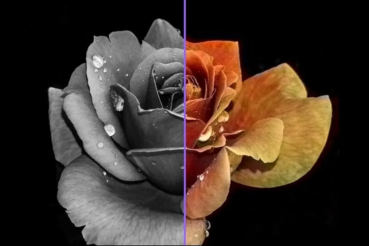 Độ tương phản quyết định độ sâu và chi tiết hình ảnh