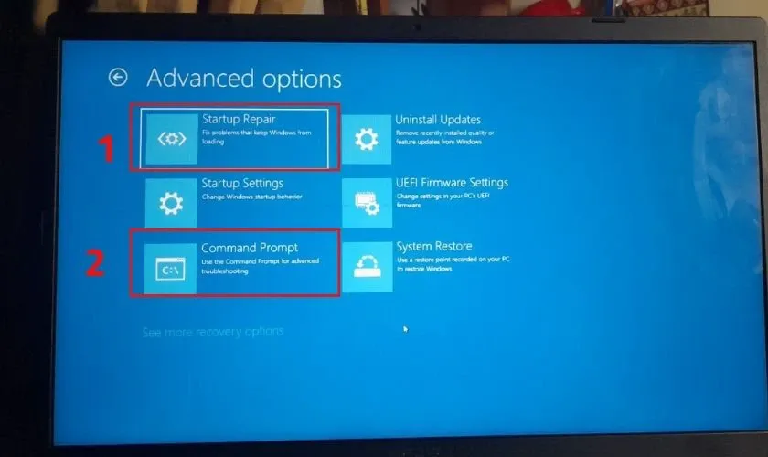 Chọn Advanced Options, bấm vào Command Prompt