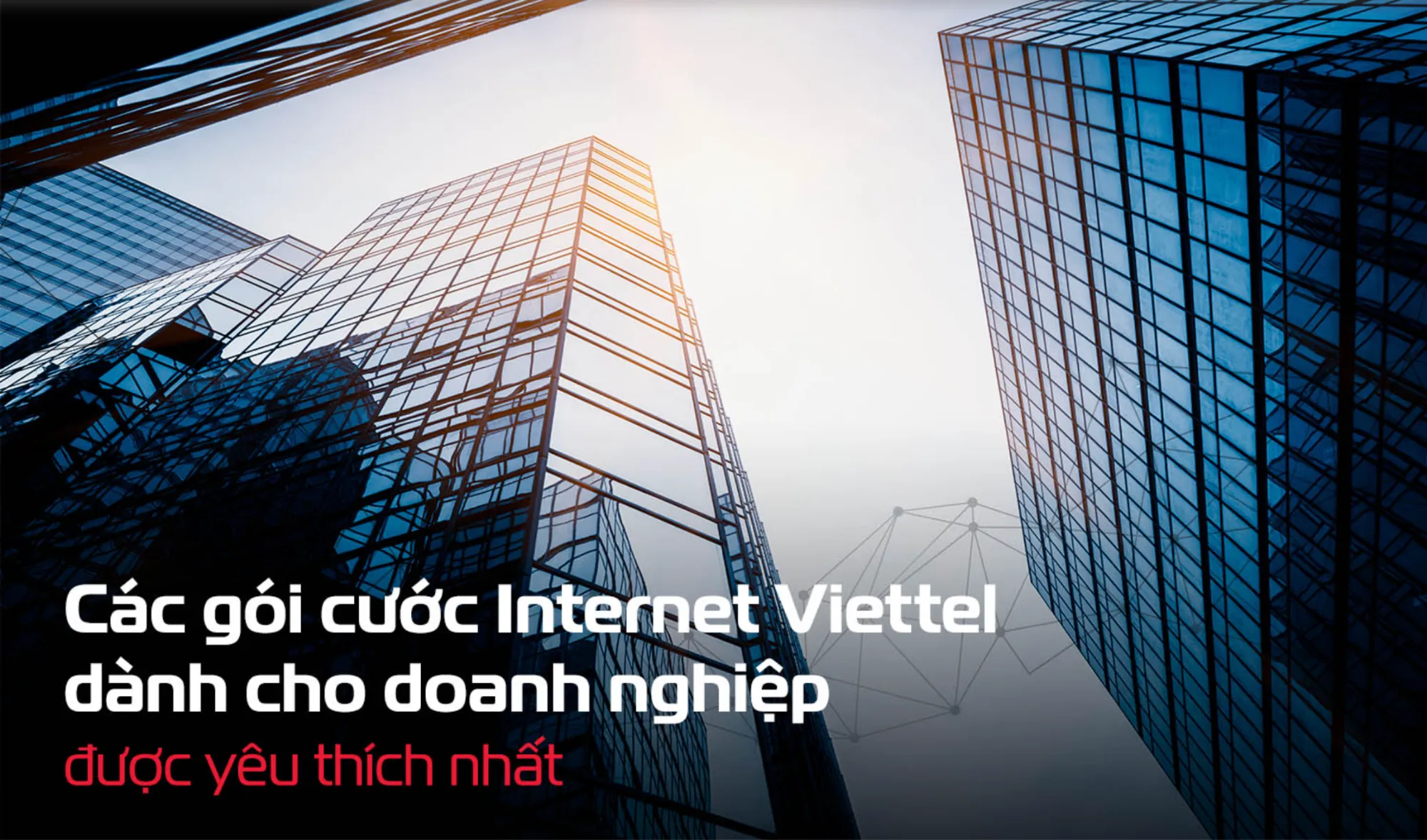 Thủ tục đăng ký lắp đặt wifi bến tre nhanh chóng với đội ngũ tư vấn tận tâm