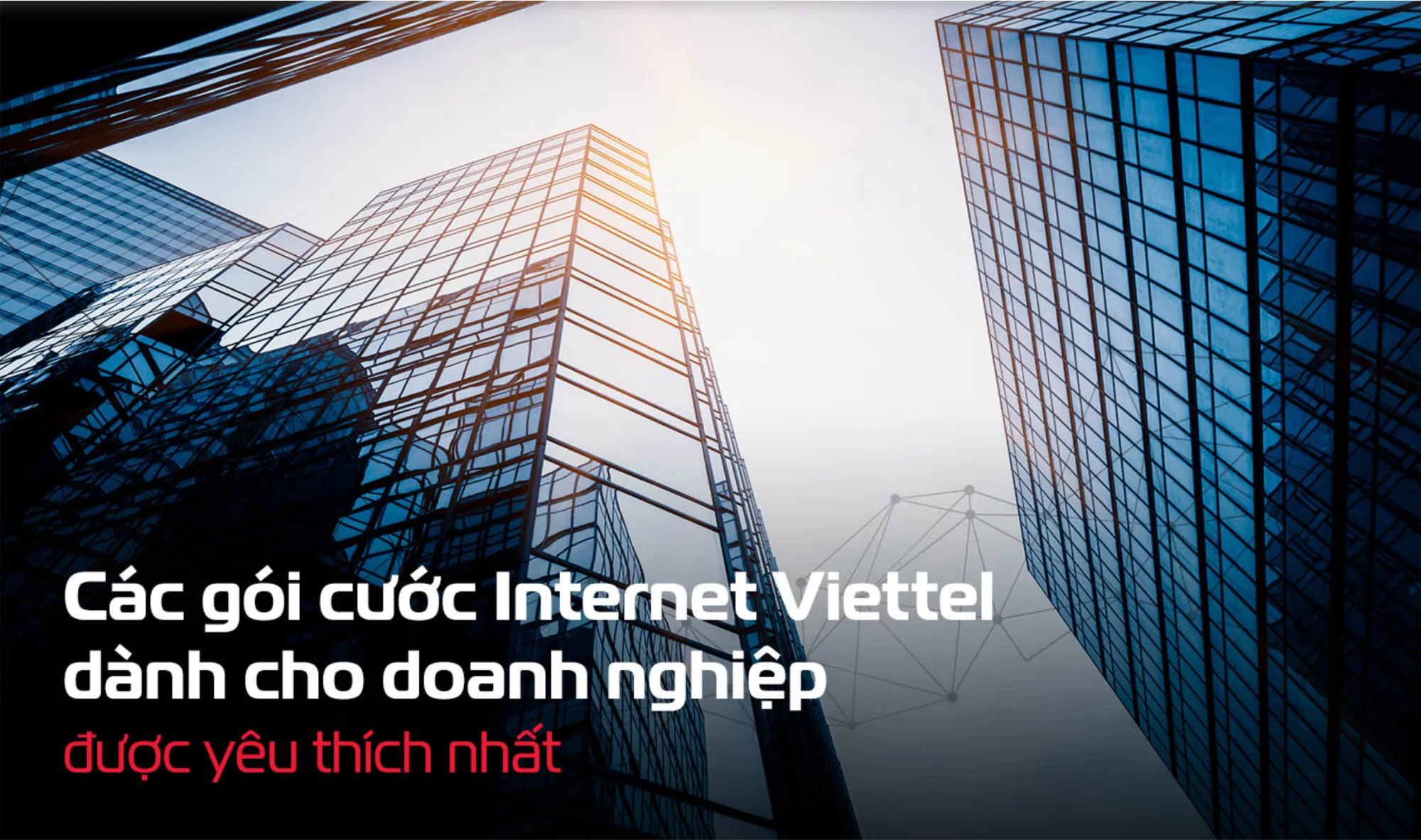 Kiểm tra gói cước Viettel doanh nghiệp qua tổng đài và cổng thông tin