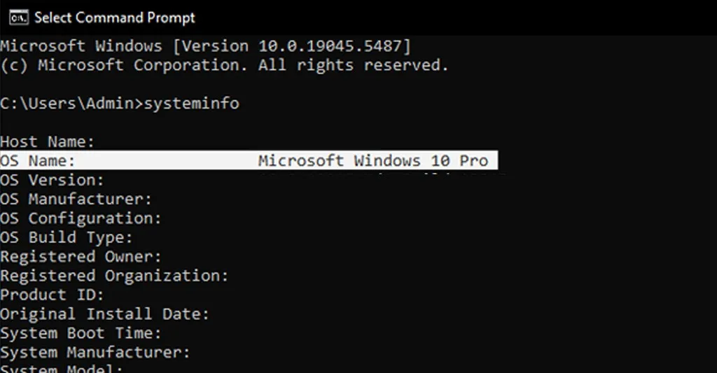 Hệ thống sẽ hiển thị một danh sách các thông tin, bao gồm cả phiên bản Windows