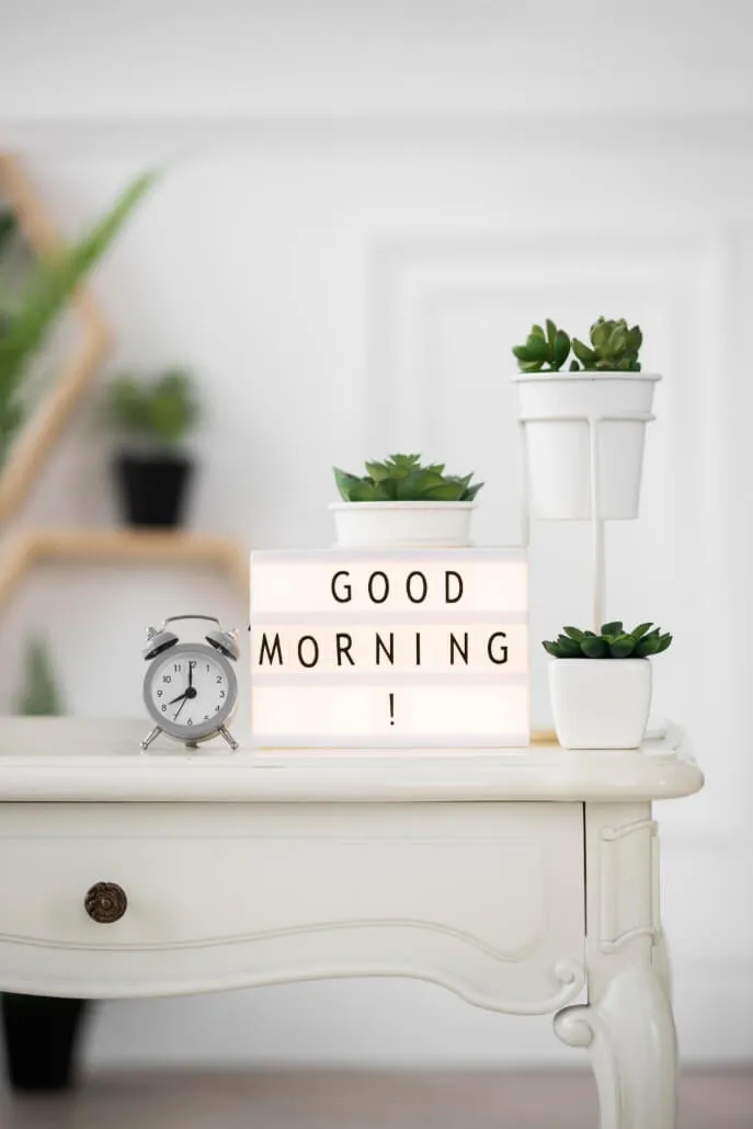 Hình ảnh chào ngày mới cùng những cây sen đá đẹp