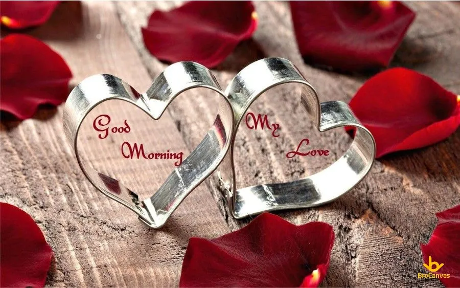 Hình ảnh Good Morning My Love