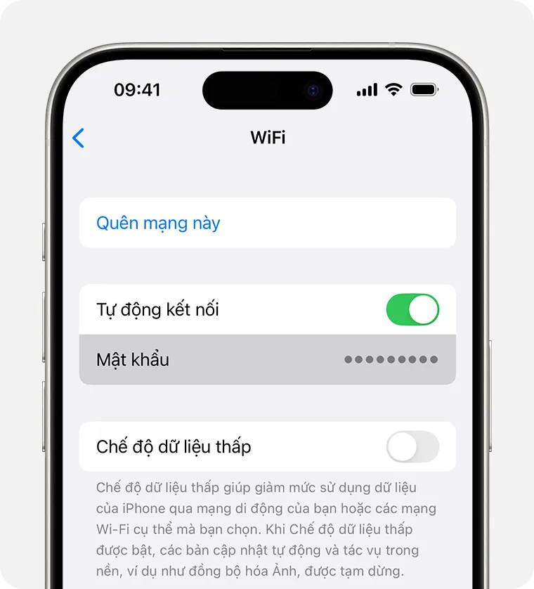 Giao diện hiển thị mật khẩu Wi-Fi sau khi xác thực trên iOS