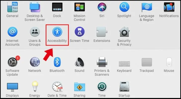 Kích hoạt tính năng Accessibility trong System Preferences trên macOS