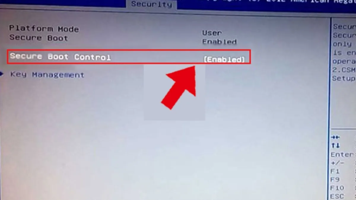 Chọn Disabled để tắt Secure Boot