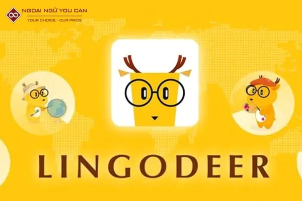 LingoDeer