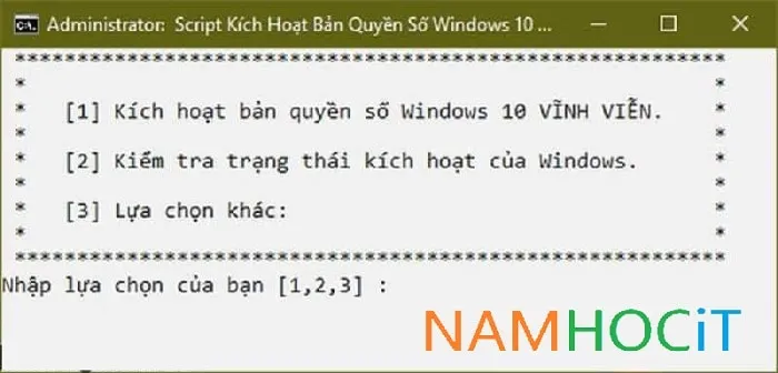 Lựa chọn phím số 1 để bắt đầu quy trình lấy bản quyền kỹ thuật số vĩnh viễn