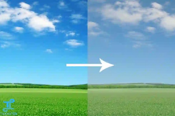 Thay đèn nền màn hình laptop khi màn sai màu