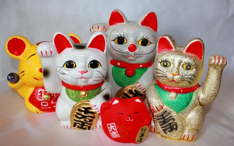 Mèo may mắn là gì?