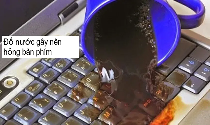 Cửa sổ Device Manager hiển thị danh sách thiết bị bàn phím