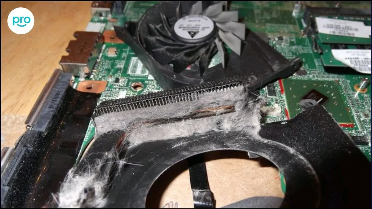 Quạt laptop bám đầy bụi có thể là nguyên nhân gây ra tiếng ồn lớn