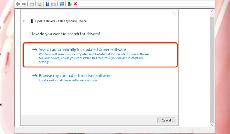 Windows tự tìm driver phù hợp