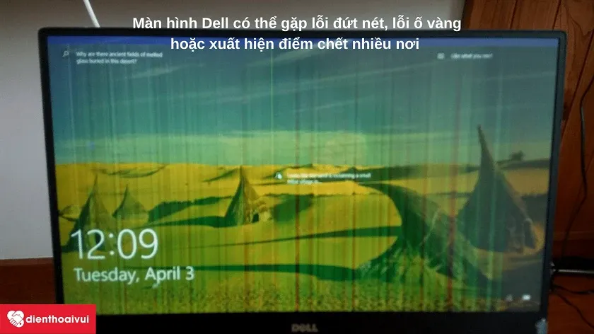 Lỗi màn hình Dell bị sọc màu nghiêm trọng cần can thiệp thay thế