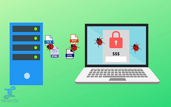 Thường xuyên diệt virus máy tính