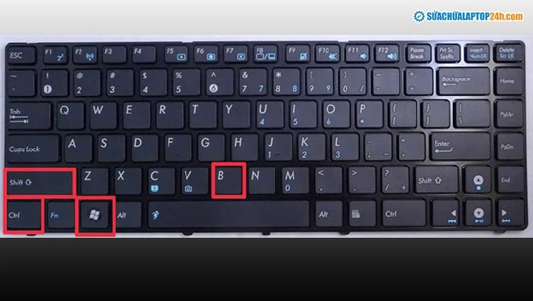 treo logo windows laptop treo logo windows khi khởi động laptop