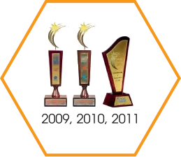 Ba năm liên tiếp đạt giải thưởng Sao Khuê