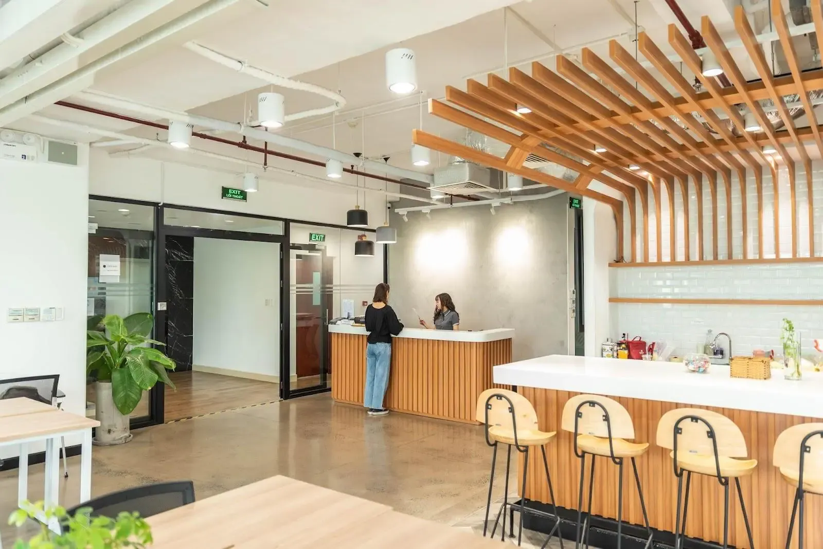 CirCO nổi tiếng với không gian yên tĩnh và thoải mái (Nguồn: Internet)