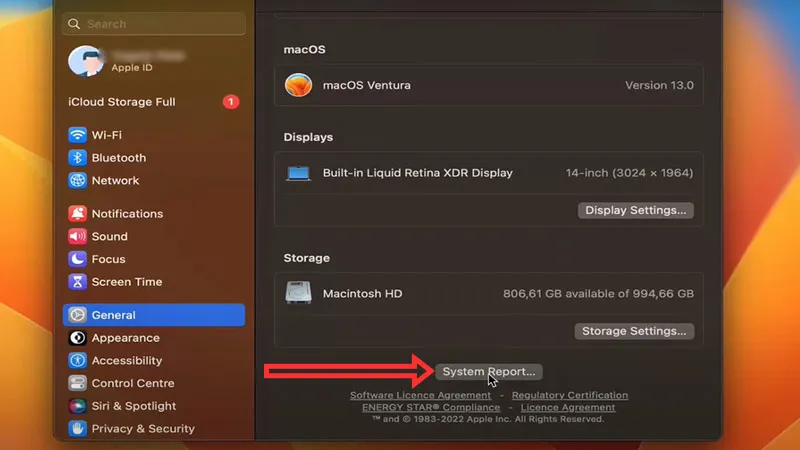 Giao diện báo cáo chi tiết các thành phần phần cứng chuyên sâu trên hệ điều hành macOS